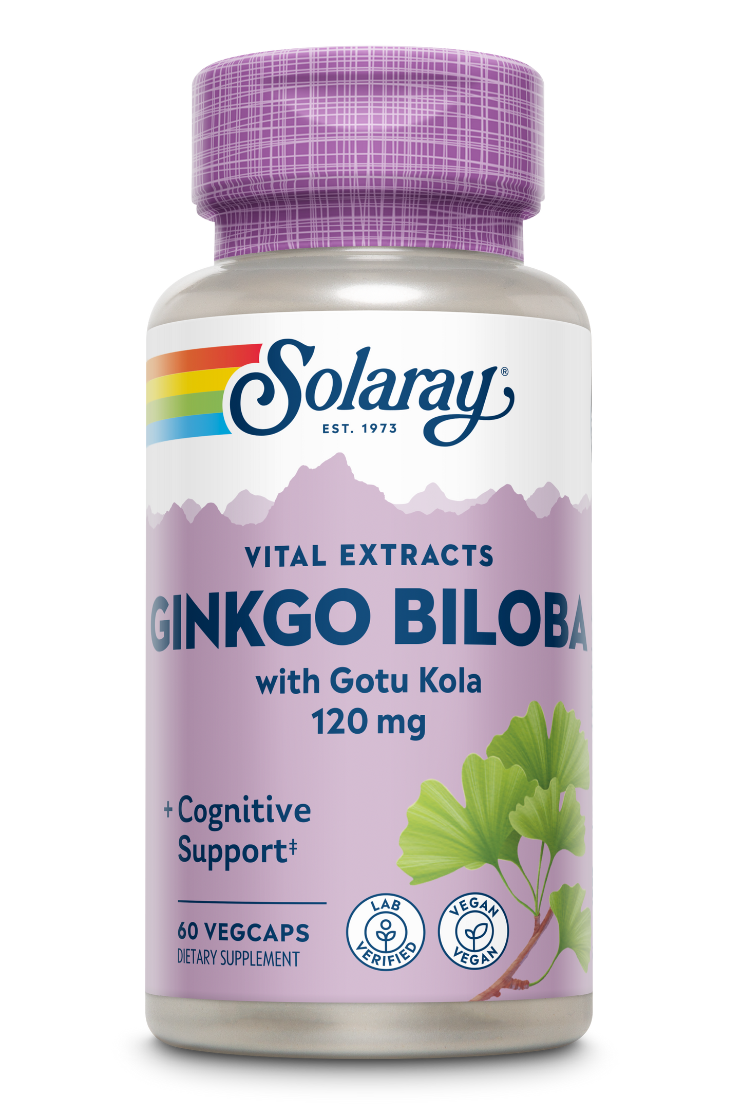 Ginkgo Biloba Extract, One Daily 120mg