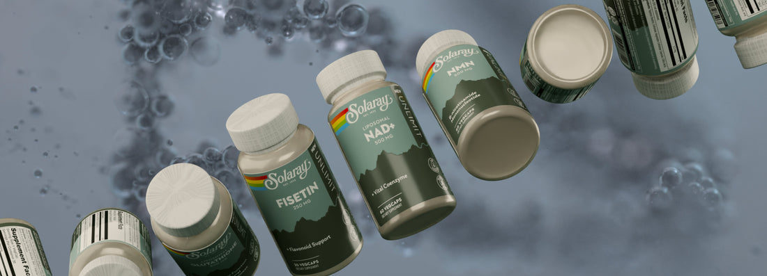 Longevity is in Solaray’s DNA: A 50‑Year Legacy of GMP Certified Quality