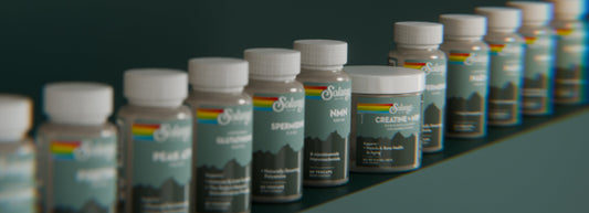 Dial In Your Longevity Stack with These Essential Supplements