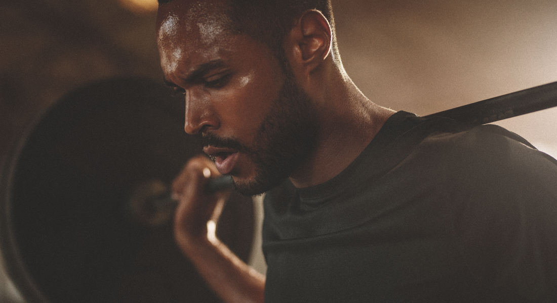 Testosterone Unlocked: How to Support Your Levels for Peak Performance