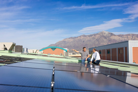 Year In Review: Our 2022 Sustainability Report
