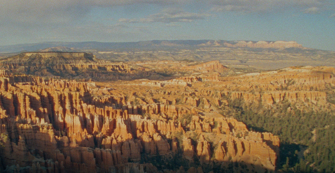 Our Manufacturing Promise: Quality and Efficacy