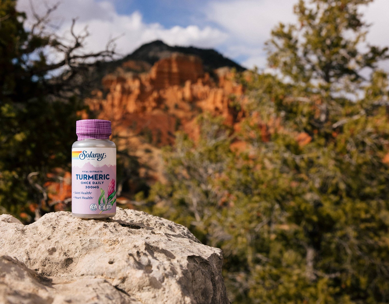 Vitamins & Supplements for Joint Pain | Solaray®