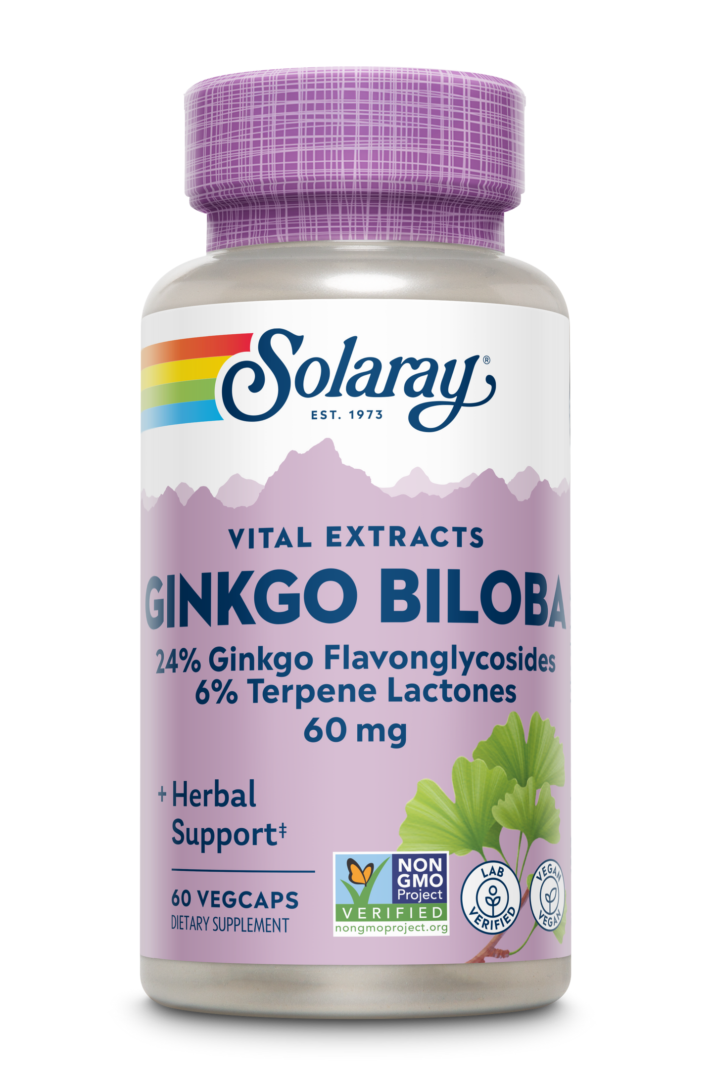 Ginkgo Biloba Leaf Extract 60mg