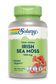 Irish Sea Moss