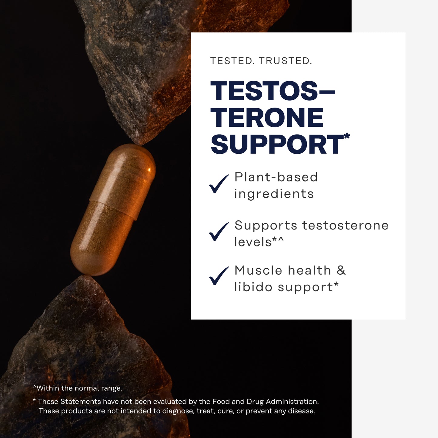 Men's Strength & Balance Bundle