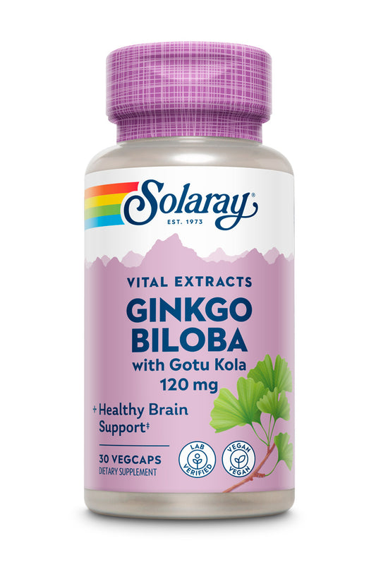 Ginkgo Biloba Extract, One Daily 120mg