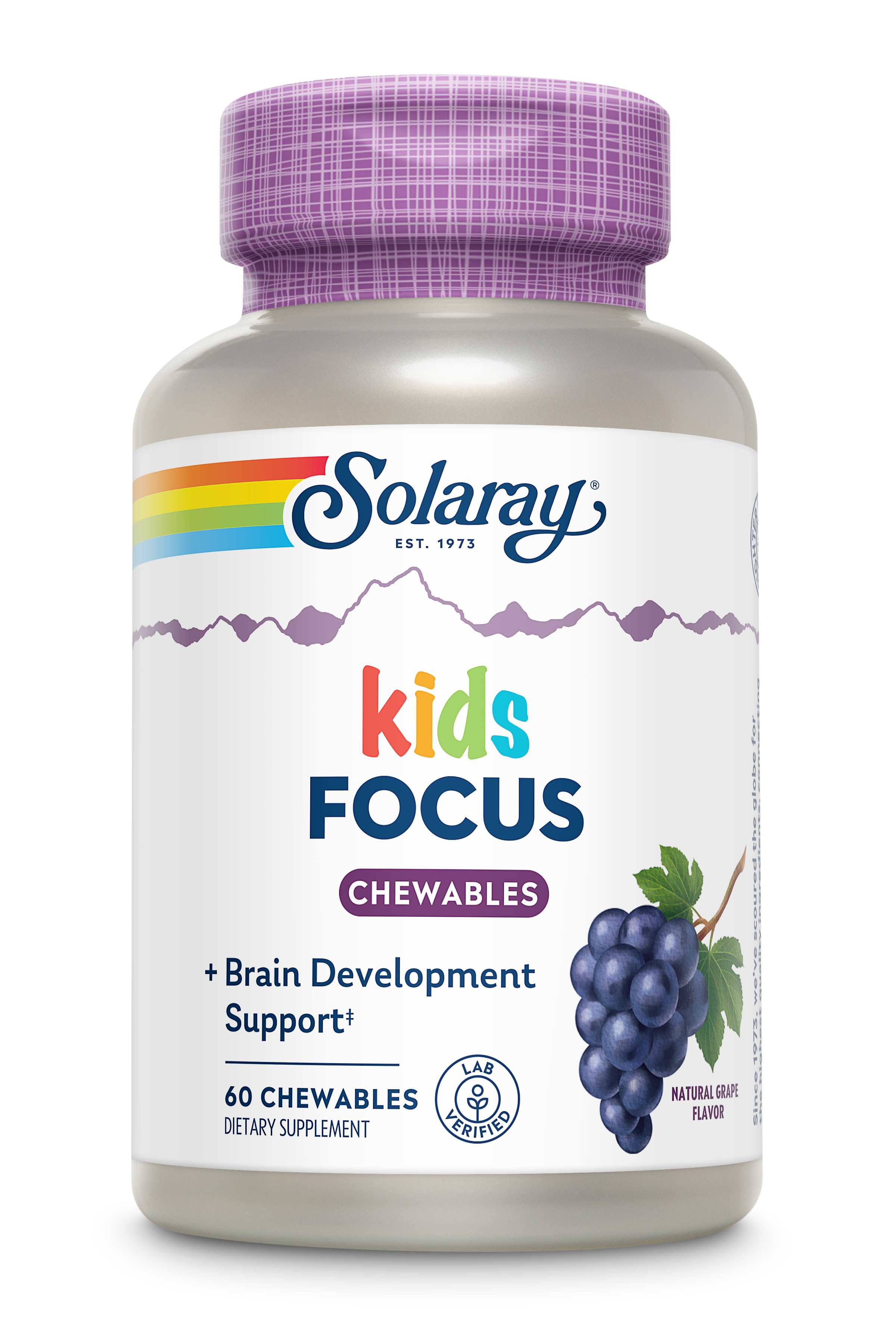 Child focus. Solaray Kids Vitamins Minerals Chewable 60. Solaray Focus для детей купить. Sun Focus for Kids купить. Витамины Focus Kids купить в Москве в аптеке.