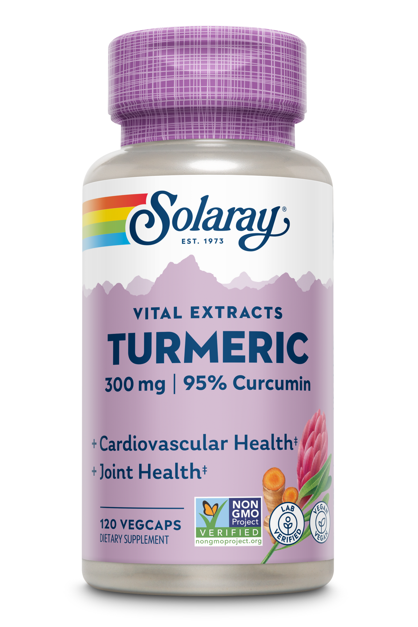 Turmeric Root Extract 300mg Solaray